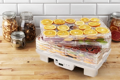 Изображение Suszarka G21 Paradiso Big