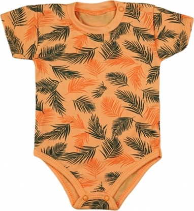 Изображение Toner Zamiennik bÄben OPC Konica Minolta bizhub C224 DR-311 70K z tÅumikiem