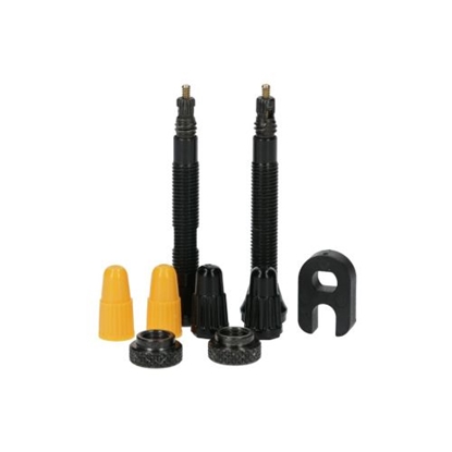 Изображение Tubeless S40 Valve 2 Pcs Set
