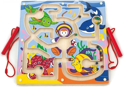 Attēls no Viga Labirynt magnetyczny Petwonurek