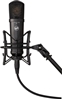 Изображение Warm Audio WA-87jr - Mikrofon Pojemnociowy