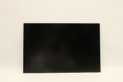 Picture of 16-inch IPS LCD panel, WUXGA
