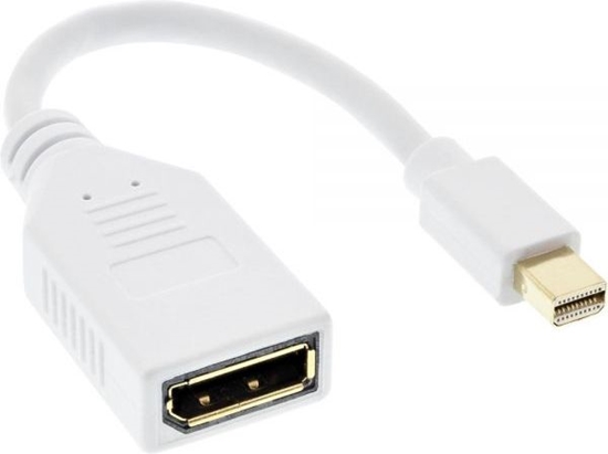 Picture of Adapter AV InLine DisplayPort Mini - DisplayPort biay (17150W)