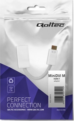 Изображение Adapter AV Qoltec DVI Mini - HDMI biay (50519)
