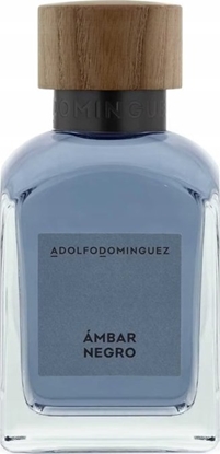 Attēls no Alkotest ADOLFO DOMINGUEZ Ambar Negro EDP spray 120ml