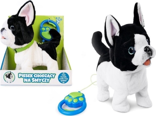 Изображение Artyk Piesek chodzcy na smyczy 169120