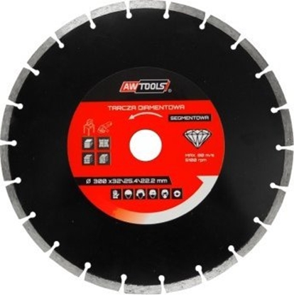 Изображение AWTools Tarcza diamentowa segmentowa 300 x 25,4-22,2mm (AW45300)