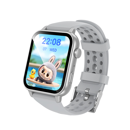 Picture of Borofone Smartwatch BD15 silver