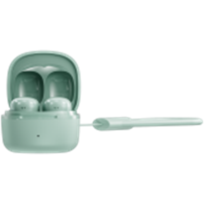 Picture of CANYON CNS-TWS4GR