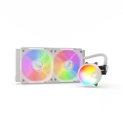 Picture of Chodzenie wodne Valkyrie A240 Biae (VK-AIOA240W)