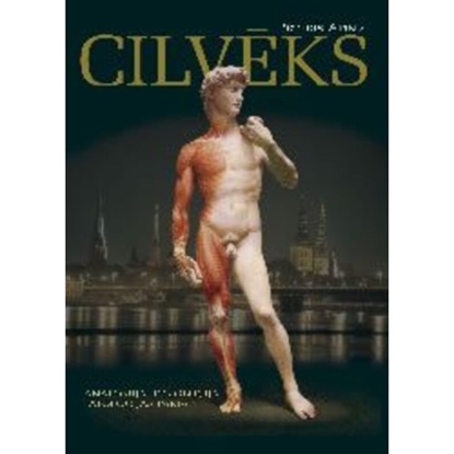 Attēls no Cilvēks. Anatomija, fizioloģija, patoloģijas pamati.