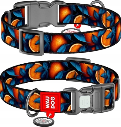 Attēls no Collar WAU DOG OBROA NYLON Z ADRESÓWK QR       15mm/25-35cm POMARACZE