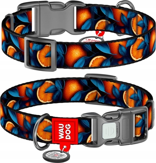 Picture of Collar WAU DOG OBROA NYLON Z ADRESÓWK QR       15mm/25-35cm POMARACZE