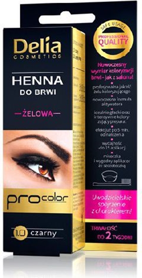 Picture of Delia Henna do brwi elowa 1.0 czarna