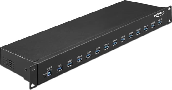 Picture of Delock 19″ Industry Hub 13 x USB 3.1 Gen 1 Type-A