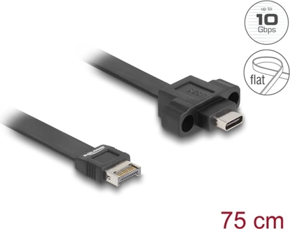 Picture of Delock USB 10 Gbps Flat Cable Type-E Key A 20 pin male to USB Type-C™ female panel-mount 75 cm