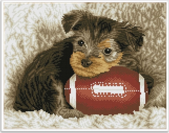 Picture of DIAMOND DOTZ Haft diamentowy Diamond Dotz Diamentowa mozaika Footy Pup Szczeniak z pik do rugby 49x40cm DQ8017