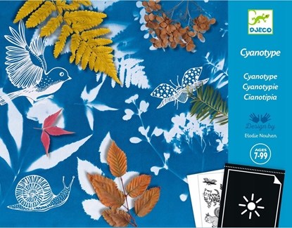 Изображение Djeco Cianotipija - Pradinis rinkinys