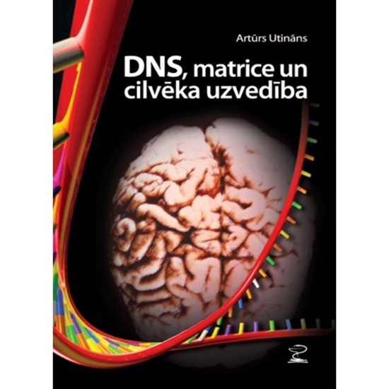 Picture of DNS, matrice un cilvēka uzvedība