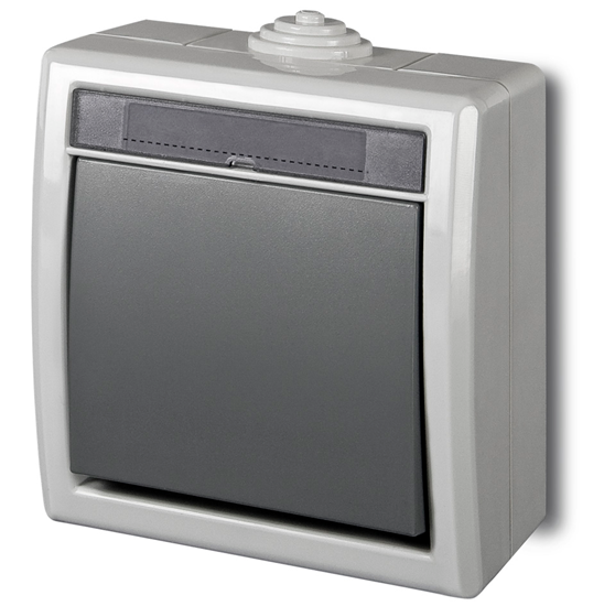 Picture of Elektro-Plast cznik natynkowy Aquant 1-biegunowy schodowy szary (1201-10)