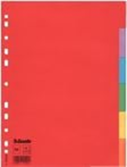 Изображение Esselte Przekadka czysta Esselte A4 (mix) 6 160g (100200)