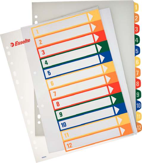 Picture of Esselte Przekadki do nadruku Maxi A4 1-12 (100214)
