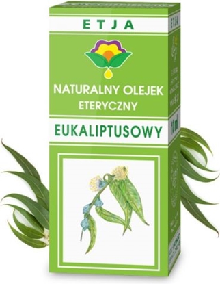 Изображение Etja Olejek Eteryczny Eukaliptusowy, 10ml