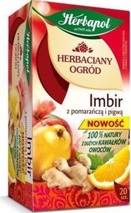 Picture of Herbapol Herbata owocowa Herbaciany ogród - imbir z pomaracz i pigw 20 torebek