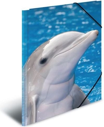 Attēls no Herma Teczka Sammelmappe A3 Delfin Polypropylen