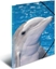 Изображение Herma Sammelmappe A3 Delfin Polypropylen