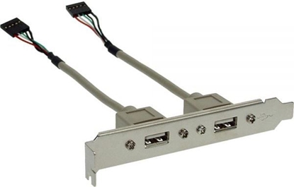 Picture of InLine led 2x USB 2.0 Typ A eski (33390)