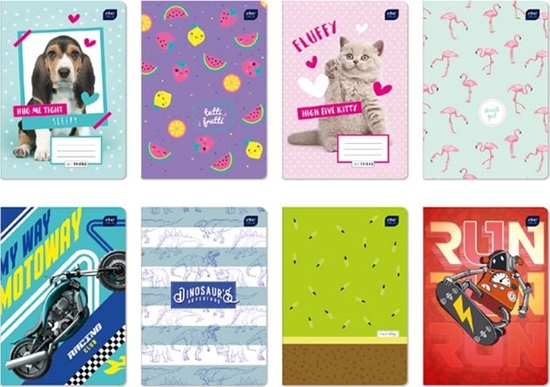 Picture of Interdruk Zeszyt A5 Trzy Linie 32k