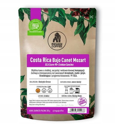 Attēls no Kawa ziarnista Ingagi Kawa ziarnista Kostaryka Bajo Canet Mozart 100g