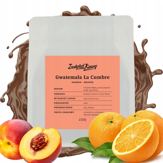 Picture of Kawa ziarnista Instytut Kawy Gwatemala La Cumbre Filtr 250g