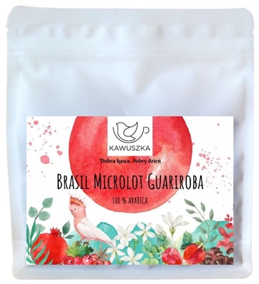 Attēls no Kawa ziarnista Kawuszka Kawa ziarnista Brazylia Microlot Guariroba - Filtr 250g