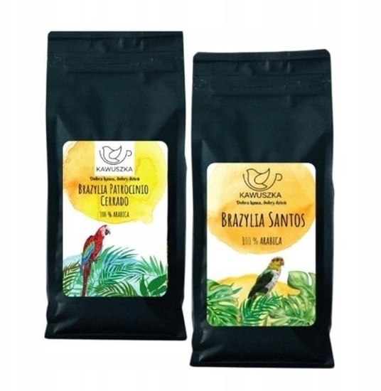 Picture of Kawa ziarnista Kawuszka Kawa ziarnista Brazylia Santos/wity Rafael 1kg