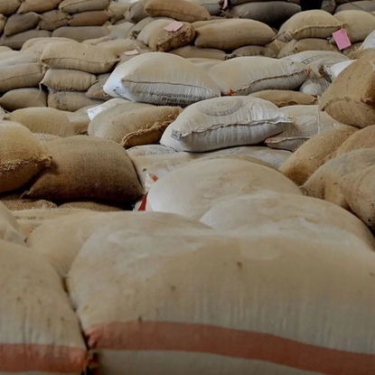 Изображение Kawa ziarnista Roastains Kawa ziarnista Kenia Red Fizz FILTR 250g