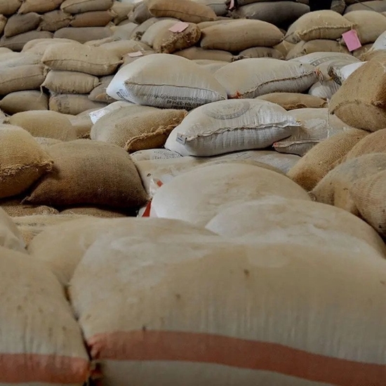 Picture of Kawa ziarnista Roastains Kawa ziarnista Kenia Red Fizz FILTR 250g