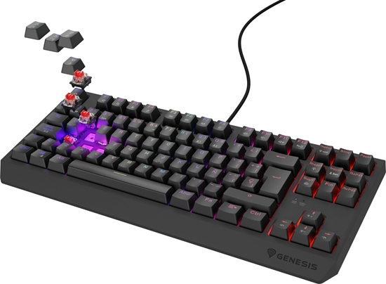 Picture of Klawiatura Genesis Thor 230 TKL ES Outemu Red (NKG-2208)
