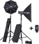 Picture of Lampa studyjna Elinchrom D-Lite RX 4/4 Softbox to go Set (E20839)