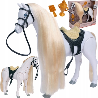 Picture of Madej Ko na baterie, idzie, dwik