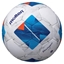 Изображение Molten F4N1710 futbols
