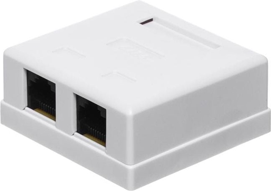 Изображение NetRack gniazdo kompletne natynkowe 2xRJ45 8p8c - (106-21)