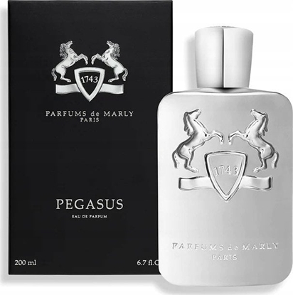 Attēls no Parfums De Marly PARFUMS DE MARLY Pegasus EDP spray 200ml