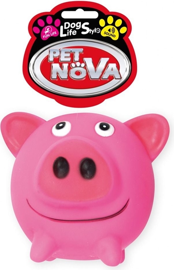 Изображение Pet Nova VIN Pig Ball 10cm