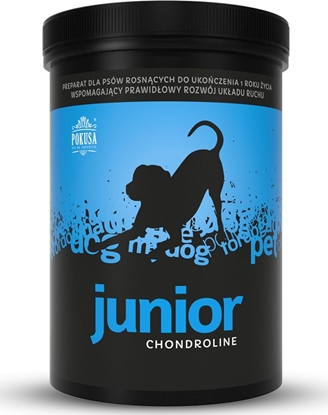 Picture of POKUSA ChondroLine Junior 350g