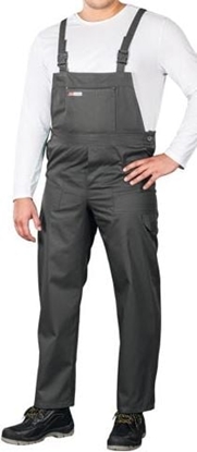 Picture of Reis Spodnie ochronne ogrodniczki 48 szare