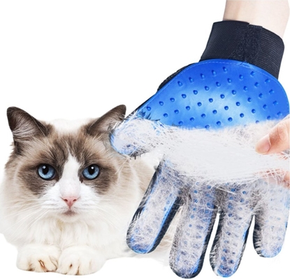 Изображение Rkawica do wyczesywania sierci