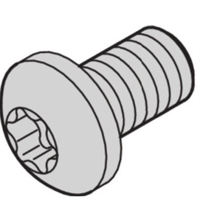 Изображение SCHROFF ruba z bem krzyakowym, Torx, M2.5 x 6, 100 szt.