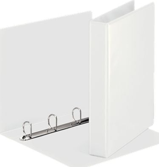 Изображение Segregator Esselte Panorama 4-ringowy A4 38mm biay (10K171G)